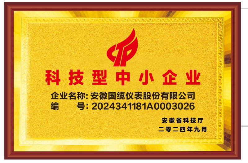 科技型中小企业